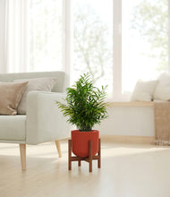 Load image into Gallery viewer, Earth Red stand:walnut