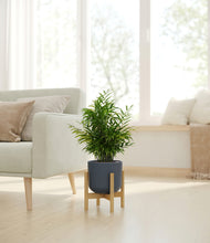 Load image into Gallery viewer, Iron Gray stand:bamboo