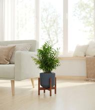 Load image into Gallery viewer, Iron Gray stand:walnut