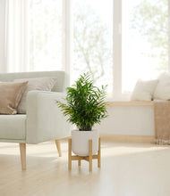 Load image into Gallery viewer, Natural Bamboo stand:bamboo