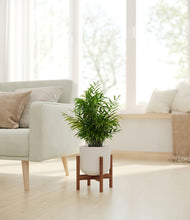 Load image into Gallery viewer, Natural Bamboo stand:walnut