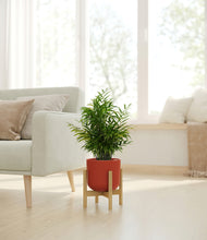 Load image into Gallery viewer, Earth Red stand:bamboo
