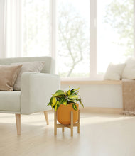 Load image into Gallery viewer, Sunset Orange stand:bamboo