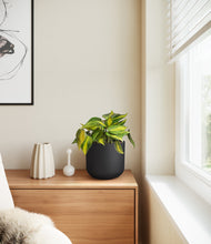 Load image into Gallery viewer, Stone Black