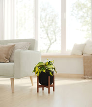 Load image into Gallery viewer, Stone Black stand:walnut