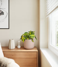 Load image into Gallery viewer, Sandy Pink