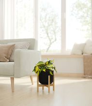 Load image into Gallery viewer, Stone Black stand:bamboo