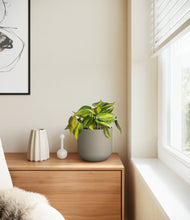 Load image into Gallery viewer, Sage Green