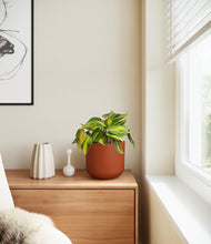 Load image into Gallery viewer, Earth Red