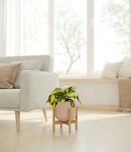 Load image into Gallery viewer, Sandy Pink stand:bamboo