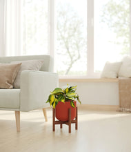 Load image into Gallery viewer, Earth Red stand:walnut