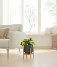 Load image into Gallery viewer, Iron Gray stand:bamboo