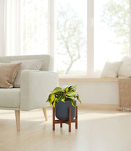 Load image into Gallery viewer, Iron Gray stand:walnut