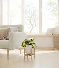 Load image into Gallery viewer, Natural Bamboo stand:bamboo