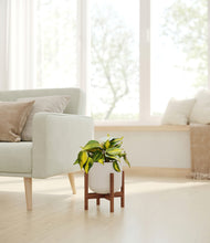 Load image into Gallery viewer, Natural Bamboo stand:walnut