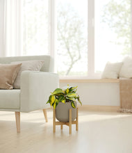 Load image into Gallery viewer, Sage Green stand:bamboo