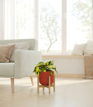 Load image into Gallery viewer, Earth Red stand:bamboo