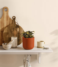 Load image into Gallery viewer, Earth Red