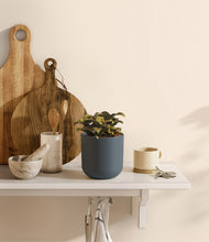 Load image into Gallery viewer, Iron Gray