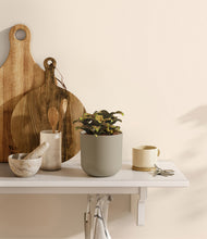 Load image into Gallery viewer, Sage Green