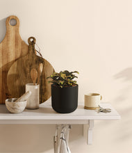 Load image into Gallery viewer, Stone Black