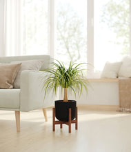 Load image into Gallery viewer, Stone Black stand:walnut