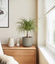 Load image into Gallery viewer, Sage Green