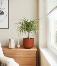 Load image into Gallery viewer, Earth Red