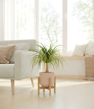 Load image into Gallery viewer, Sandy Pink stand:bamboo