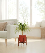 Load image into Gallery viewer, Earth Red stand:walnut