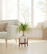 Load image into Gallery viewer, Natural Bamboo stand:walnut