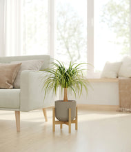 Load image into Gallery viewer, Sage Green stand:bamboo