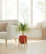 Load image into Gallery viewer, Earth Red stand:bamboo