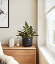 Load image into Gallery viewer, Stone Black