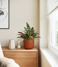 Load image into Gallery viewer, Earth Red