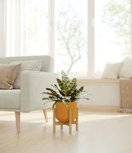 Load image into Gallery viewer, Sunset Orange stand:bamboo