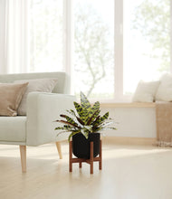 Load image into Gallery viewer, Stone Black stand:walnut