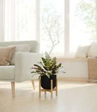 Load image into Gallery viewer, Stone Black stand:bamboo