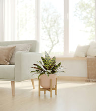 Load image into Gallery viewer, Sandy Pink stand:bamboo