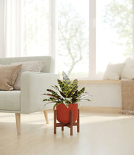 Load image into Gallery viewer, Earth Red stand:walnut