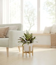 Load image into Gallery viewer, Natural Bamboo stand:bamboo