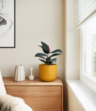 Load image into Gallery viewer, Sunset Orange