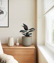 Load image into Gallery viewer, Sage Green