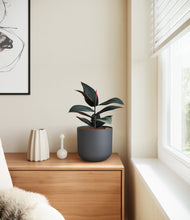 Load image into Gallery viewer, Iron Gray