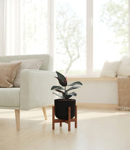 Load image into Gallery viewer, Stone Black stand:walnut