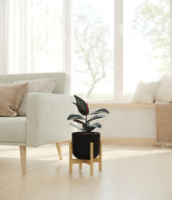 Load image into Gallery viewer, Stone Black stand:bamboo