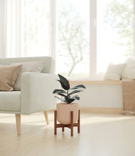 Load image into Gallery viewer, Sandy Pink stand:walnut