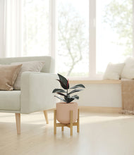 Load image into Gallery viewer, Sandy Pink stand:bamboo