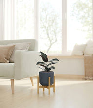 Load image into Gallery viewer, Iron Gray stand:bamboo