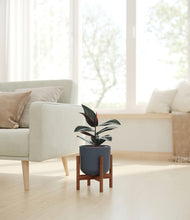 Load image into Gallery viewer, Iron Gray stand:walnut